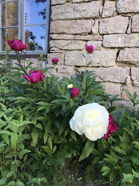 Gamla Gaestgivaregarden Couette-café *